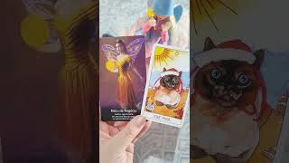 ÁRIES NÃO TENHA MEDO NOS NEGÓCIOS ❗️✨️ tarot e oraculo