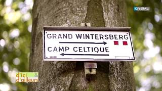 d'ici et d'ailleurs - Le camp celtique du Ziegenberg