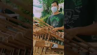 story wa loro atiku versi angklung jogja