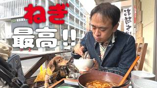 【犬連れねぎランチ】「長ねぎ料理専門店暁」さんのねぎが美味い!東京都八王子市 ペットショップの売れ残りと元保護犬とお出かけ