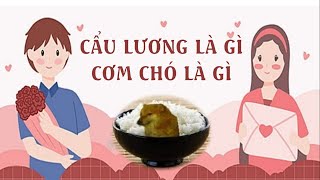 Cơm chó là gì? | Cẩu lương là gì? | Tiếng lóng | Một vạn bí mật