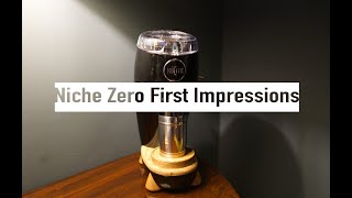 Niche Zero First Impressions 2022