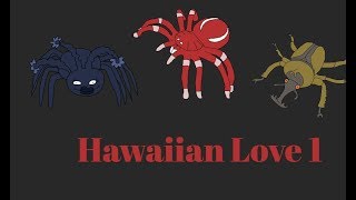 Bug World Production Music: Hawaiian Love 1