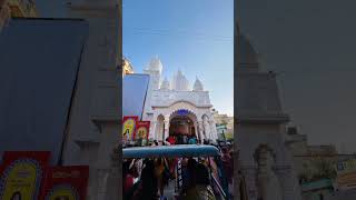 Chandannagar Jagadhatri Puja Pandal Part 6 #shorts