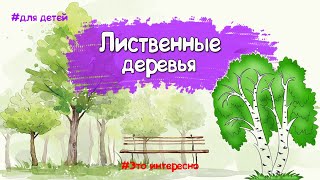 Про деревья детям. Какие бывают деревья?