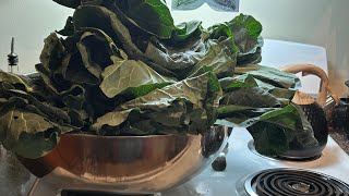 COOK & CHAT COLLARDS 11/2/2024 💜💜💜 #cooking #harvest #storytelling #gquattraditionzs