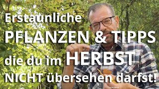 Diese ERSTAUNLICHEN Herbstpflanzen und Gartentipps solltest du AUF KEINEN FALL übersehen!