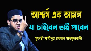 ১ টা আমল করলেই যা চাইবেন তাই পাবেন Mufti Shahidur Rahman Mahmudabadi