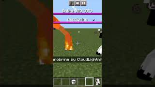 Entity 303 vs Herobrine