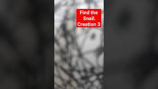 "Find The" series. creation 3. Snail. #annaliesestreasures  #findart