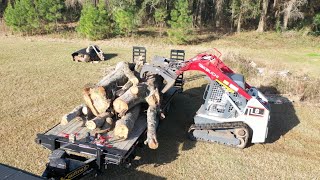 Unloading big logs with the Takeuchi skid steer