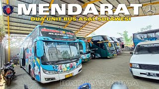 MENDARAT DUA UNIT BUS BINTANG PRIMA | GARASI BARU BUS PRIMO 57 TRANS