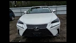 JTJBARBZ3K2201529 LEXUS NX 2019