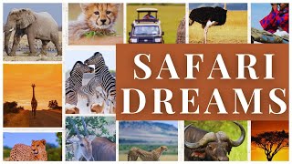 Ultimate Safari Adventure: Top 12 Destinations You Must Visit!