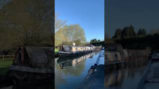 Early morning cruise #canal #narrowboatlife #tinyliving #narrowboatliving #canalwalk