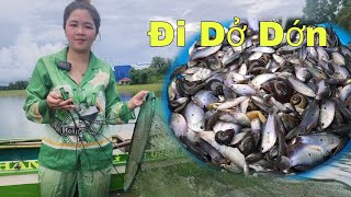 Dở Dớn Mùa Nước Nổi Cá thấy Ham | Mỹ miền tây vlogs