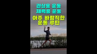 아주 바람직한 운동 루틴 (feat. 컴팩트 스마트홈짐)