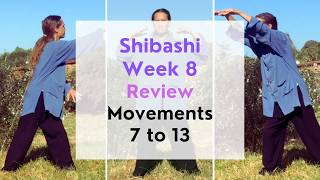 Shibashi Week 8: (Tàijí Qi-Gong) Review: Movements 7 to 13