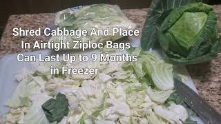 Preserving Cabbage And Lettuce After Harvest #growyourownfood #enjoygardening #cabbage #lettuce