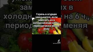 Овощи 9