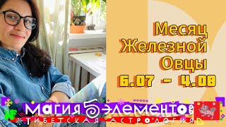 Прогноз на месяц железной овцы с 6 июня по 4 августа согласно тибетской астрологии