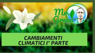 Mr Green e il video sul cambiamento climatico