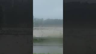 flooded view of Himachal Pradesh near bilaspur #shorts #flood #bilaspur