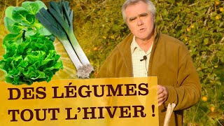 Avoir des légumes au potager tout l'hiver ! Quoi planter: poireaux, mâches, salades, épinards