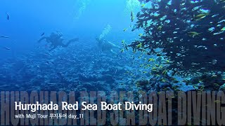 [4K] Egypt Hurghada Red Sea Boat Diving (with Muji Tour) 이집트 후루가다(홍해) 보트 펀 다이빙 with 무지투어 day_11