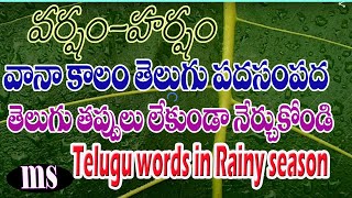 వానాకాలంలో తెలుగు పదాలుమధురాలు| తెలుగు తప్పులు లేకుండా నేర్చుకోండి | Telugu without mistakes|Rain|