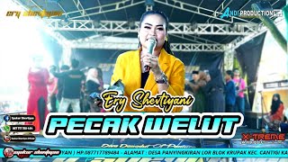 PECAK WELUT | ERY SHEVTIYANI | ERY SHEVTIYANI GROUP 🔴 LAMARANTARUNG KEC. CANTIGI - INDRAMAYU