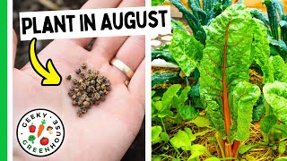 Plant These 7 Crops In August 🌱