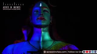 Happy Maha Shivratri  | ANI Official | Acres N inches | Noida