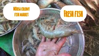 Moosa Colony FB Area fish market in Karachi | Economical price with best quality fresh fishes