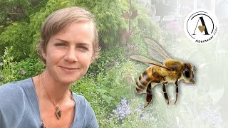 Angelika Ertl | Tipps für einen bienenfreundlichen Garten | Abenteuer Alter