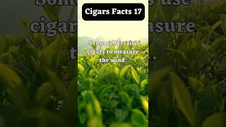 Cigars facts 17