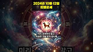 2024년 10월 12일 개띠, 돼지띠 오늘의운세!!  #오늘의운세 #띠별운세 #운세 #개띠운세 #돼지띠운세  #행운 #shorts