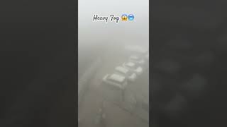 Heavy Fog At Vagamon 🥶😱Beautiful View #vagamon #foggy #snow #foggyweather #shortvideo