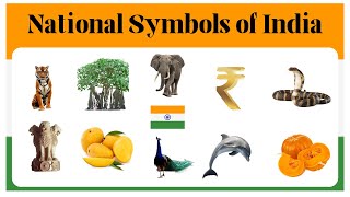 Learn National Symbols of India| National Symbols for Kids in English| Kids Pre School