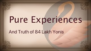 Pure Experience and Truth of 84 Lakh Yonis