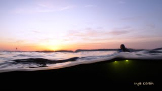 Night Dive for Shrimps - Mariagerfjord - Denmark