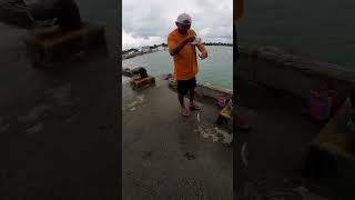 #fishingvideo #f #shorecastingphilippines #fishtv #fishingequipment #fishingtournament #fishinggear