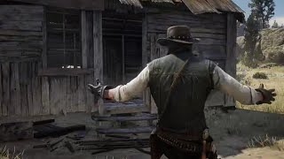 Rdr 2 - Home of the Gentry?