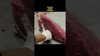 CRAZY WITH KNIFE big size tuna fish cutting from Aceh Indonesia