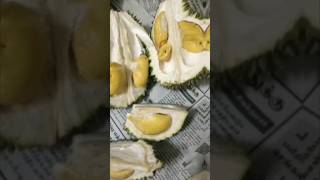 tidak bisa dijelaskan rasanya 😍😋😋😋😋 #sorts #viral #durian