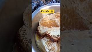 😳 wow 😳 fresh delicious honey 🍯😋 #youtubeshort #honey #frishhony #natural