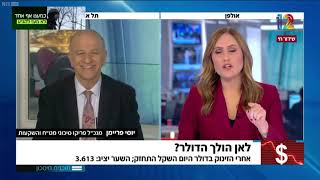 יוסי פריימן בראיון לתכנית חיסכון: איך תשפיע המהפכה המשפטית בשוק המט"ח?