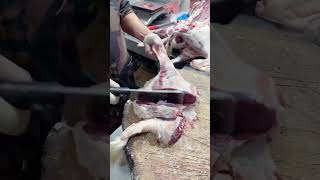 Cutting the meat #cactusfoodies #shorts #meat