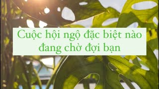 Cuộc hội ngộ đặc biệt nào đang chờ đợi bạn ?