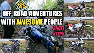 Off-Road With SINNIS SM-XE BMW R1250GS Royal Enfield Himalayan Angel Steps